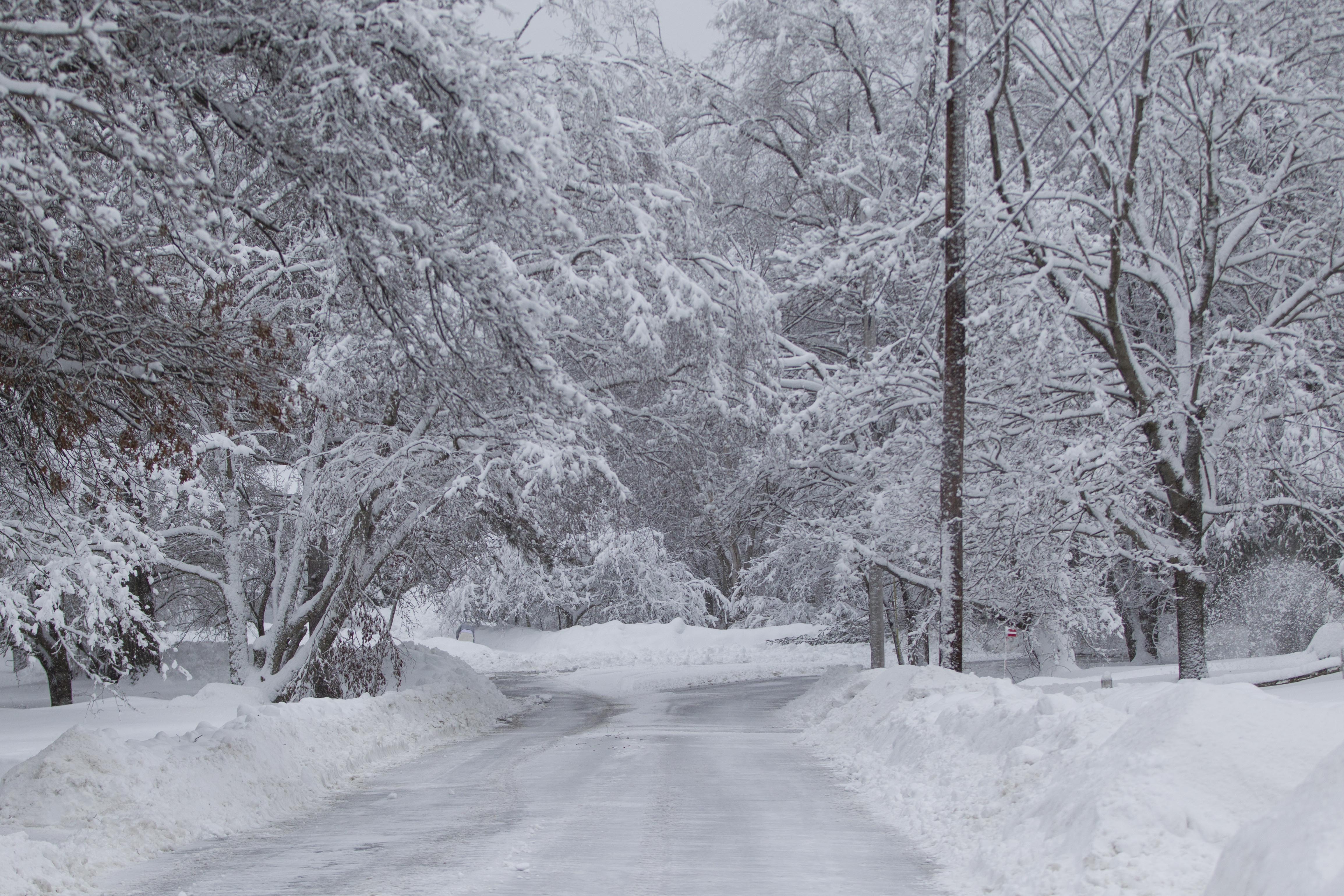 Michigan Snowfall Totals For Winter Storm Stella | Heavy.com