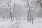 winter storm stella boston photo