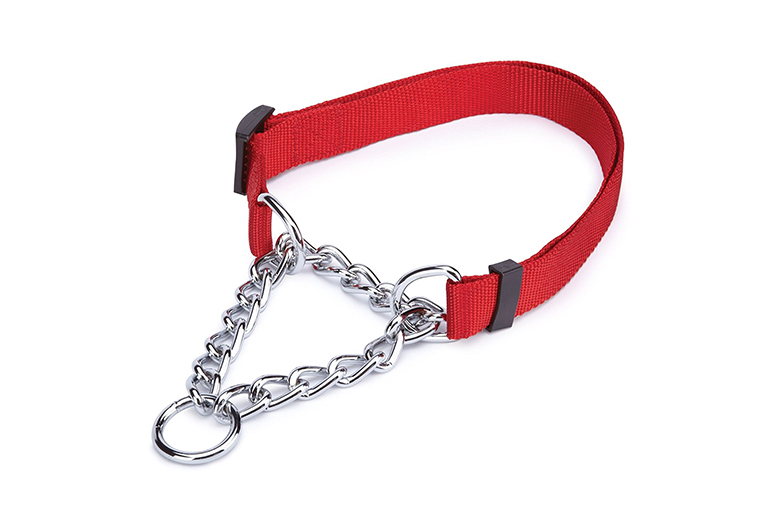 best slip collar for dogs