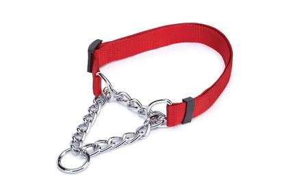 11 Best Dog Training Collars: Your Buyer's Guide (2020)