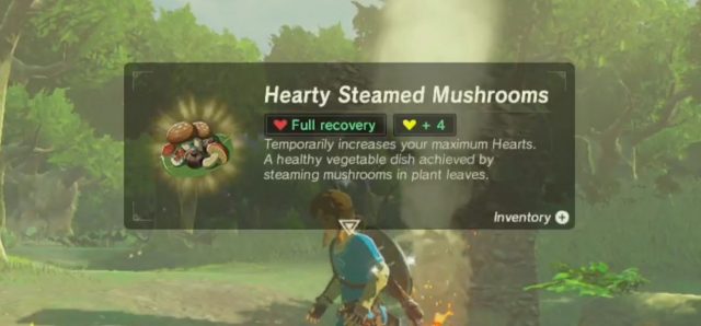 breath of the wild heart and stamina max