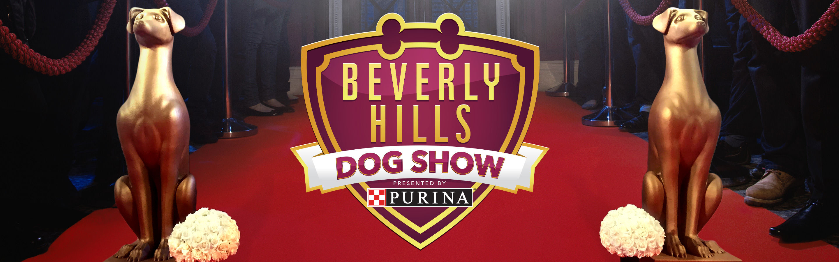 Beverly Hills Dog Show 2017 Live Stream Watch It Online