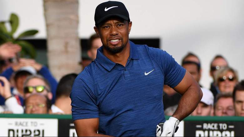 Tiger Woods arrest, Tiger Woods DUI photos, Tiger Woods car damage