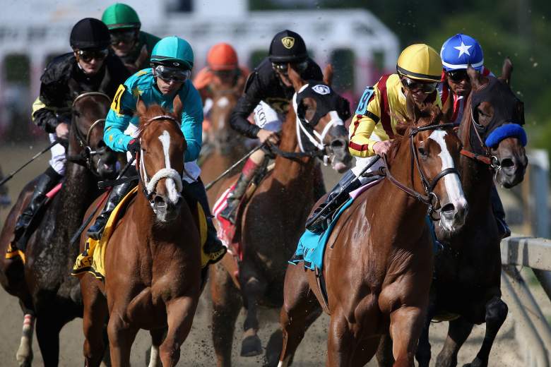 BlackEyed Susan Stakes 5 Fast Facts You Need to Know