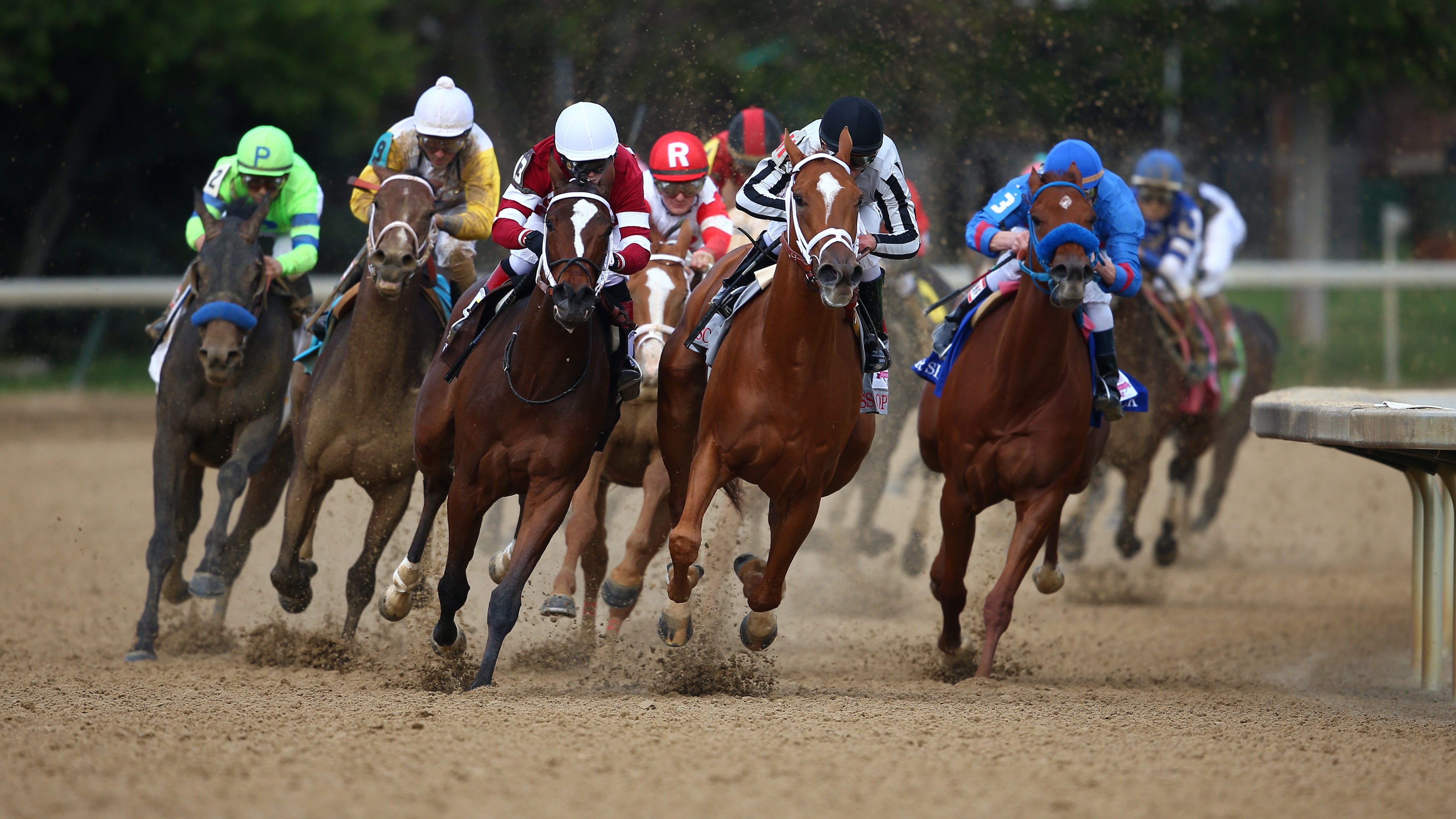 Preakness 2017 Trifecta