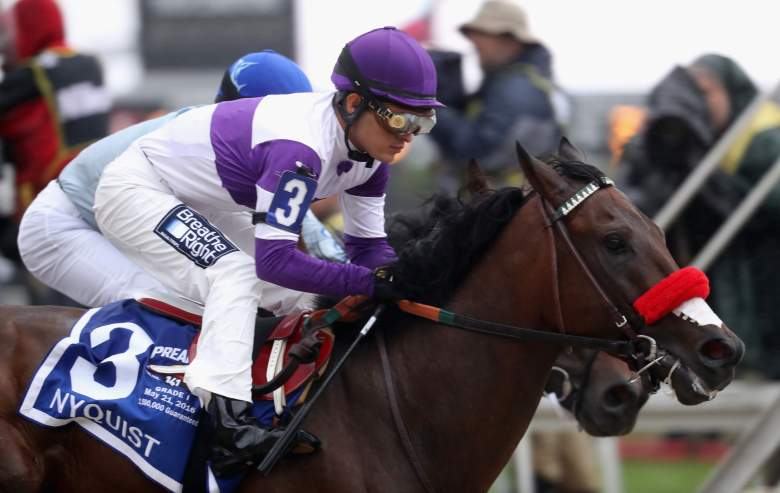 Nyquist at the Preakness Stakes