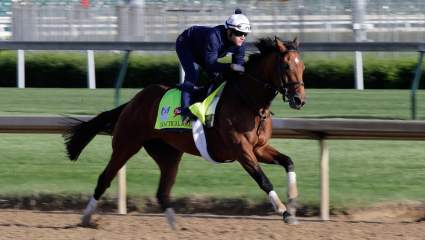 Practical Joke and Jockey Joel Rosario: 5 Fast Facts You Need to Know