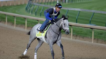Fast And Accurate: Meet the Horse Bode Miller Owns