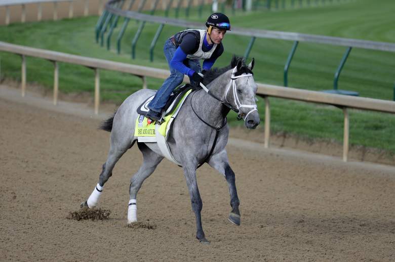 Fast and Accurate, Bode Miller horse, Bode Miller Kentucky Derby, Fast and Accurate odds