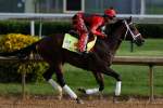 classic empire, kentucky derby, contenders, odds, predictions, picks, top best horses