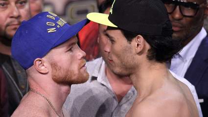 Canelo vs. Chavez Jr. Purse: How Much Does Each Boxer Get?