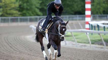 Preakness Picks: 5 Horses to Watch