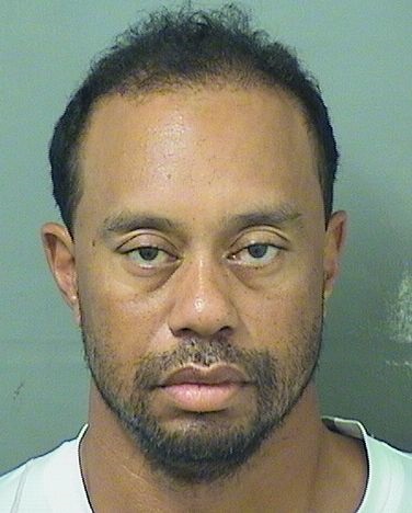 Tiger Woods, Tiger Woods mugshot, Tiger Woods DUI