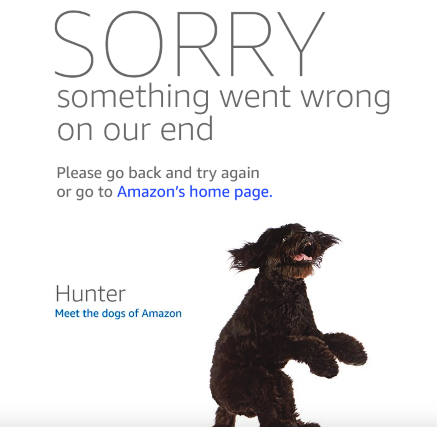 amazon-down-some-users-see-something-went-wrong-message