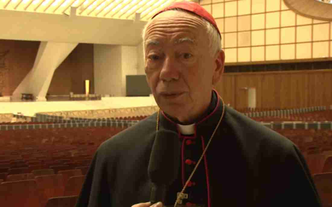 Cardinal Francesco Coccopalmerio: 5 Fast Facts