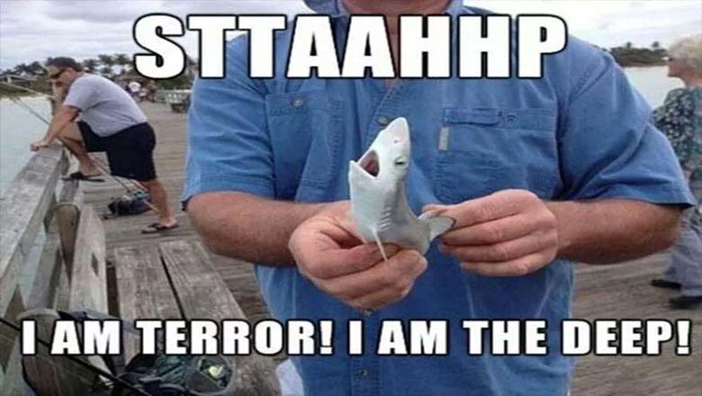 Shark Week 2017: Best Funny Memes | Heavy.com