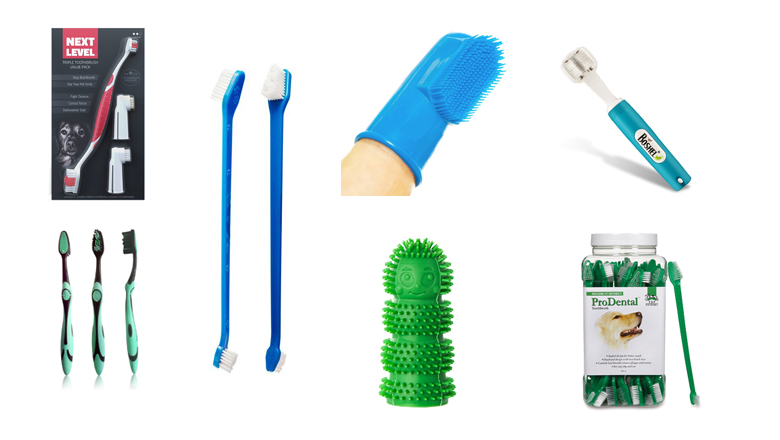 10 Best Dog Toothbrushes: Your Buyer’s Guide (2019) | Heavy.com