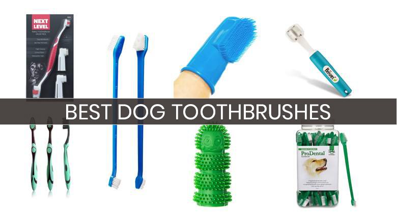 what kind of toothbrush for dogs