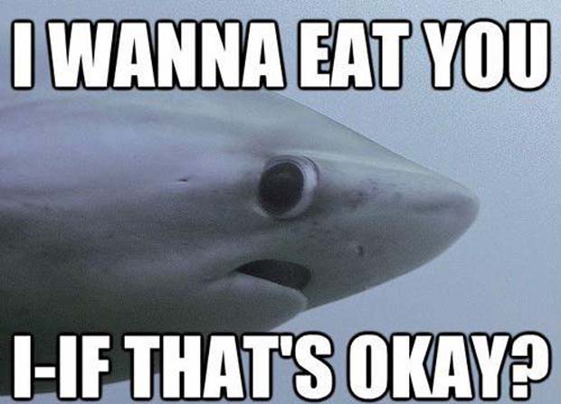 shark week memes