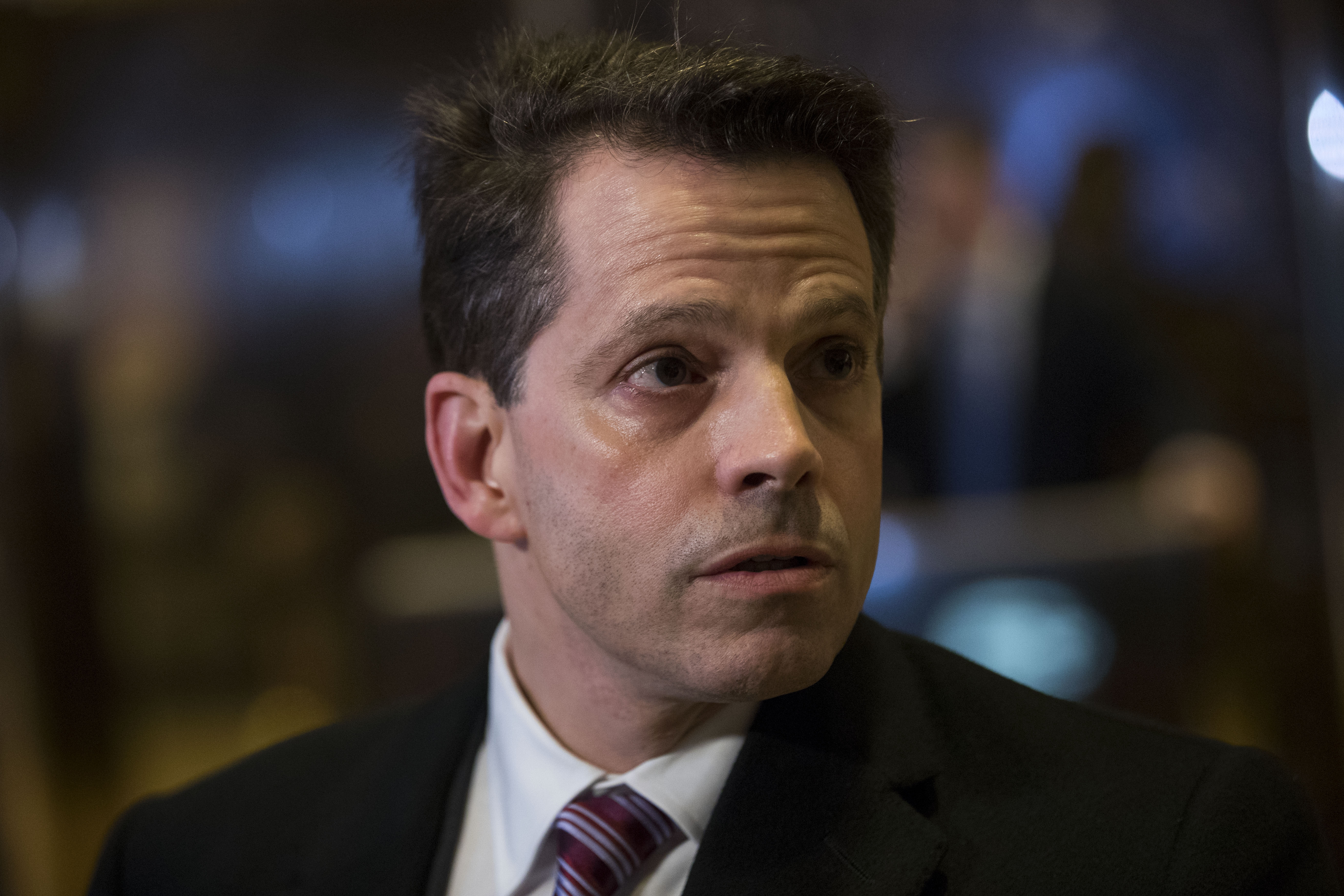 Anthony Scaramucci's Net Worth 5 Fast Facts You Need to Know