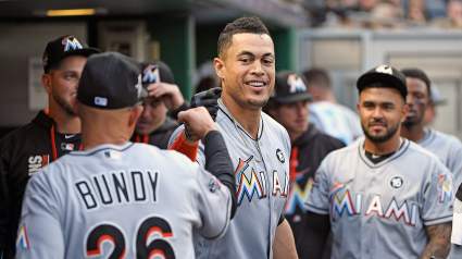 Giancarlo Stanton’s Family: 5 Fast Facts You Need to Know