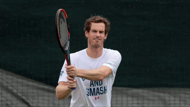 Andy Murray vs. Sam Querrey, Live Stream, Free, Without Cable, Wimbledon Quarterfinals 2017