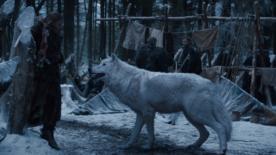 'Game of Thrones': Where Is Ghost?