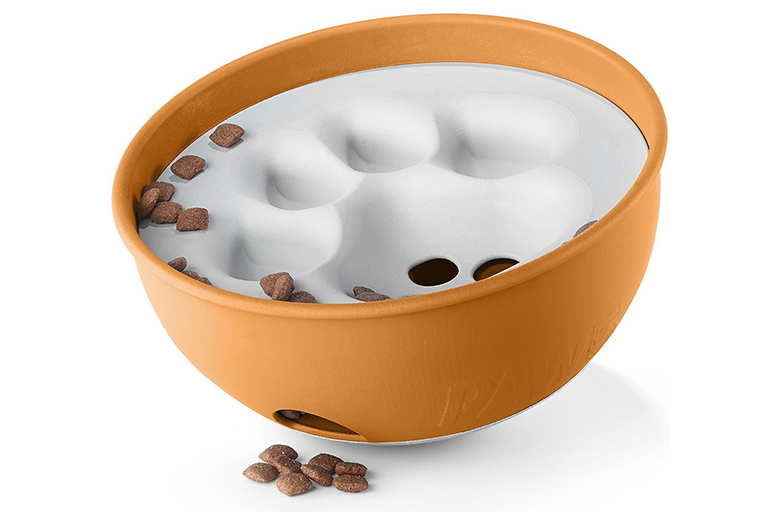 slow feeder puzzle dog bowl