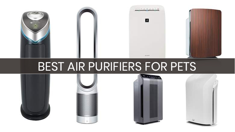 best air purifier for pet hair