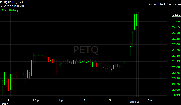 PetIQ, PETQ, chart, technical analysis