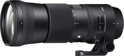 Sigma 150mm-600mm f3.5-6.3, best sigma lens for canon, sigma lenses, sigma lenses for canon, sigma art lens