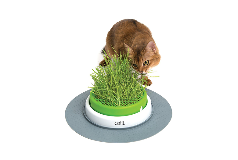 Image of catit grass planter