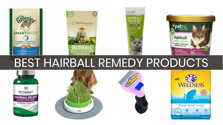 10 Best Hairball Remedy Products Your Buyer’s Guide (2018)