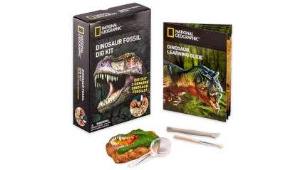 educational dinosaur toys
