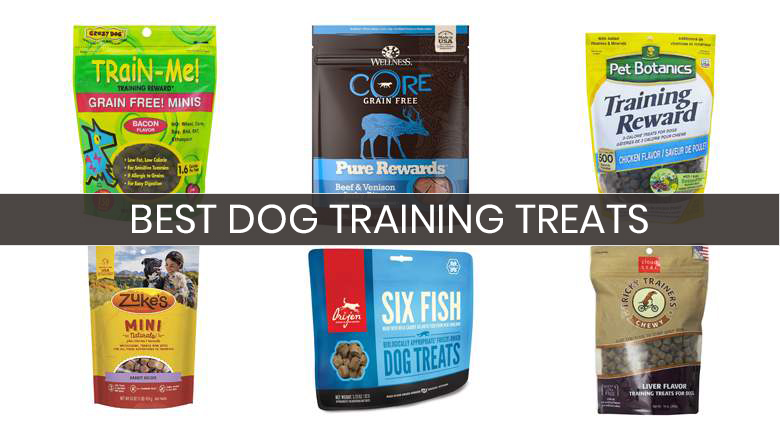 What Treats Can I Give My Puppy When Training