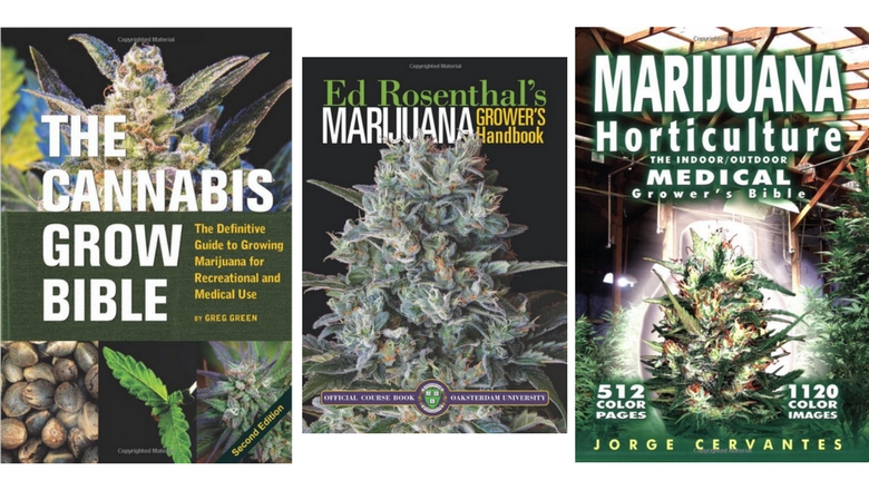 cannabis breeder bible vs cannabis grow bible