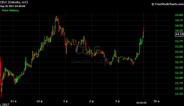 Celcuity Stock