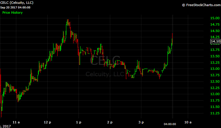 Celcuity, CELC, IPO, chart