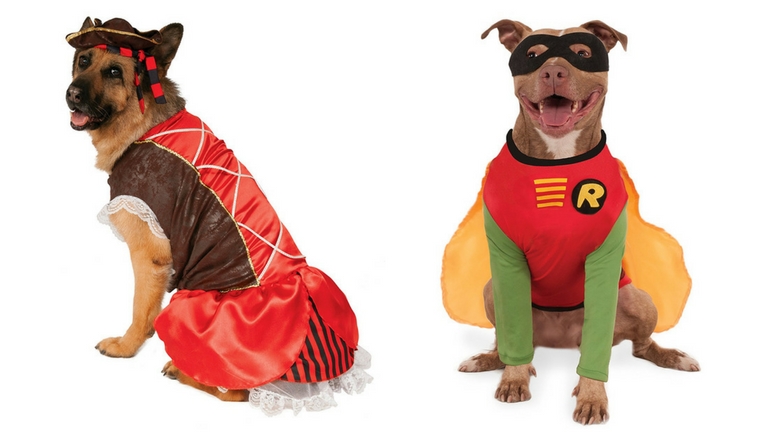 large breed dog halloween costumes