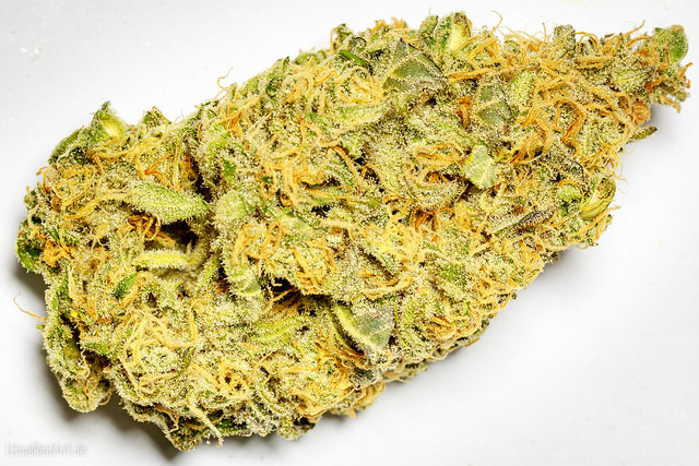cure cannabis