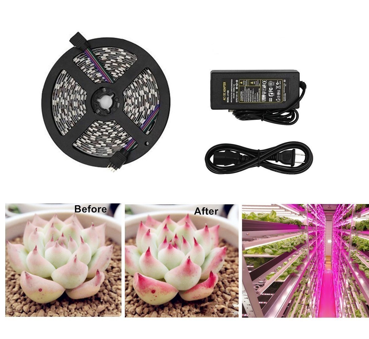 5 Best SMD LED Lights for Growing Cannabis | Heavy.com