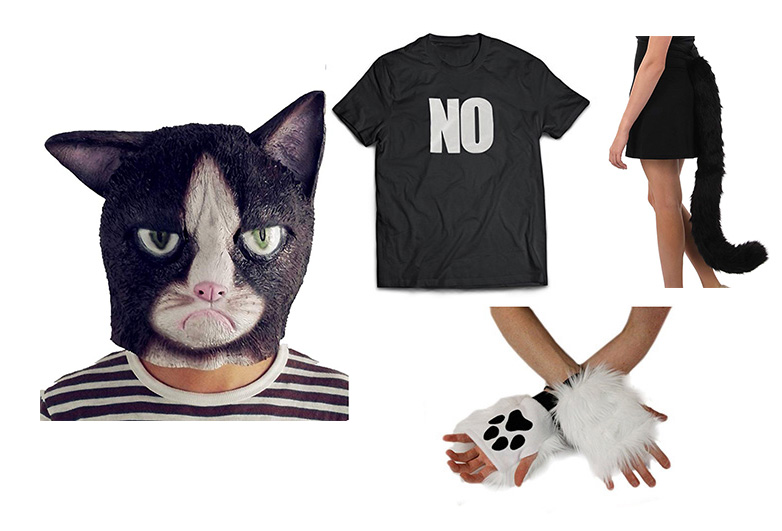 Grumpy cat mask and accessories