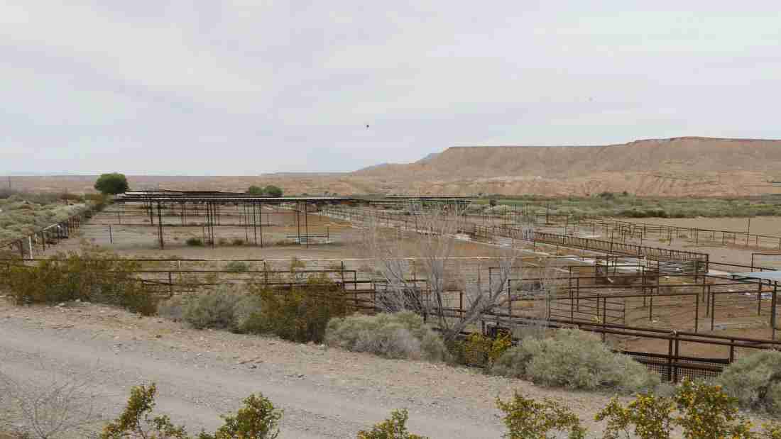 Mesquite Nevada 5 Fast Facts You Need To Know