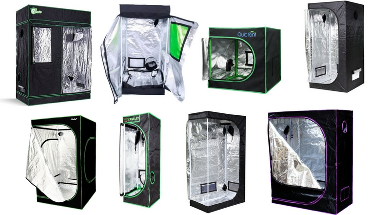 10 Best Cheap Grow Tents For Cannabis