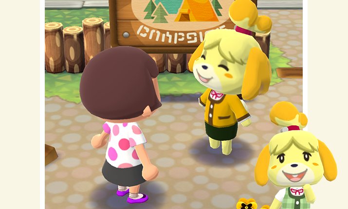 animal crossing pocket camp special request