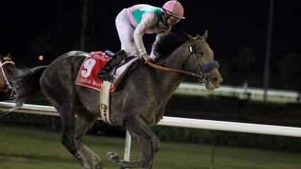 Breeders’ Cup 2017 Live Stream: How to Watch All Races Online for Free