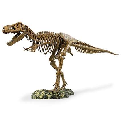 Edu-Toys Science Tech T-Rex Skeleton 36" Scale Replica Model