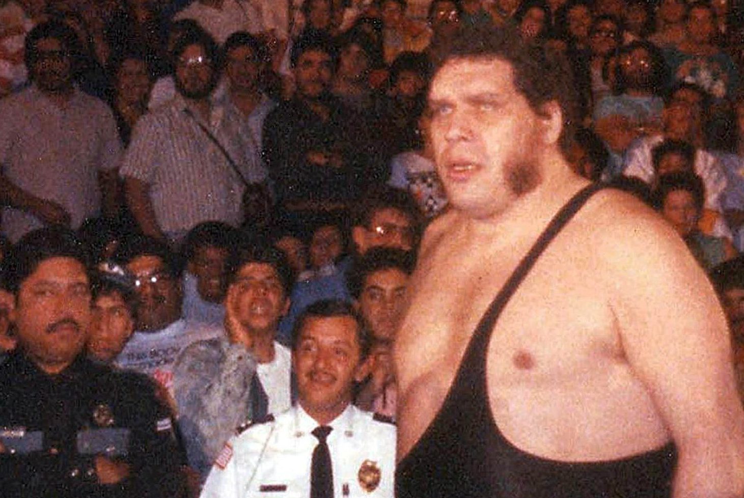 Andre the Giant: 5 Fast Facts You Need to Know 
