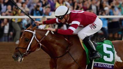 Pegasus World Cup Live Stream: How to Watch 2018 Races Online
