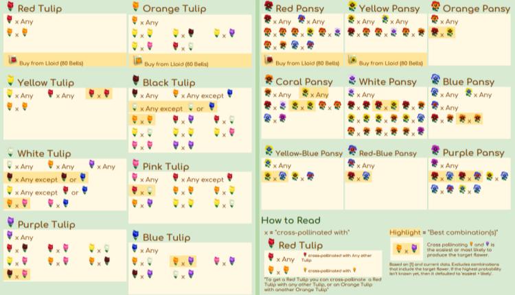 animal-crossing-pocket-camp-ultimate-guide-updated-heavy